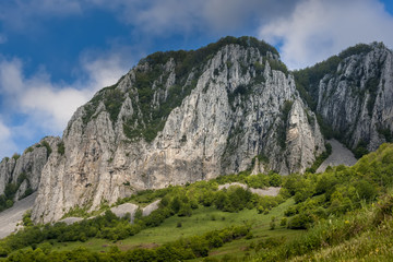 Fototapeta na wymiar carpatians mountains