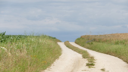 Wanderweg durch Felder