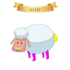 Big sheep on a white