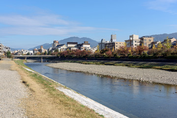 Fototapeta na wymiar View of Kamo River at the center of Kyoto on a sunny autumn day.