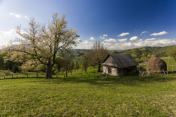 carpatians mountains