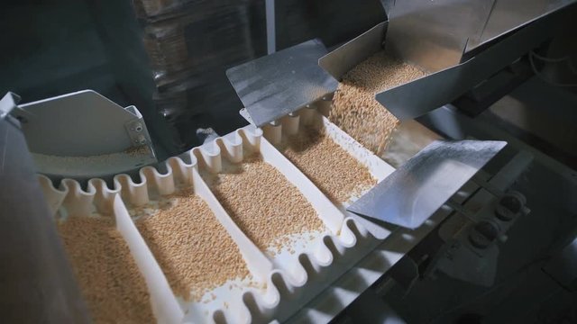Modern food industry. Automatic machine for packing cereals.