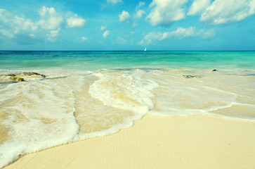 Tropical sand beach in Caribbean sea, Dominican Republic. Summer beach paradise. Island beach with blue sea water. Sea foam on beach. Paradise of sea beach. Empty sea beach.