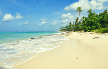 Tropical sand beach in Caribbean sea, Dominican Republic. Summer beach paradise. Island beach with blue sea water. Sea foam on beach. Paradise of sea beach. Empty sea beach.