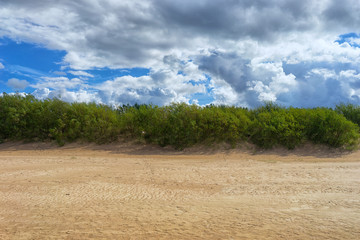 Fototapeta na wymiar Sand dunes of the Baltic Sea