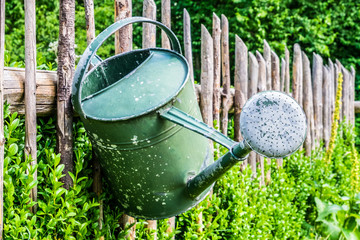 old watering can © fottoo