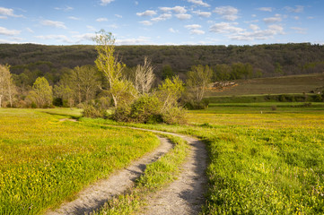 Hay meadows in the Fenar Valley, La Robla Municipality, in Leon Province, Spain