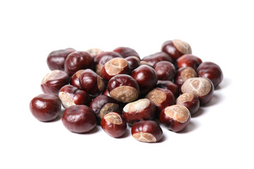 Chestnut