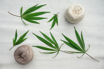 Fototapeta na wymiar leaves of cannabis and balls of yarn on canvas