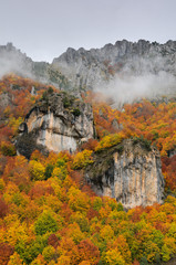 Montañas en otoño
