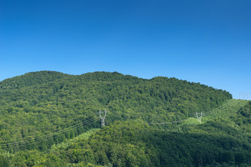 Fototapeta na wymiar High Power Line accros forest