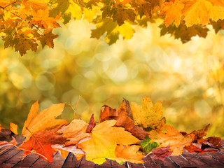 autumn background