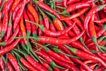red chili or chilli cayenne pepper