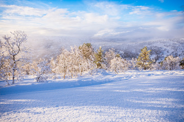 Snow landscape - stryn (norway)