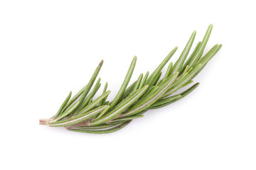 Fototapeta premium rosemary isolated on white background