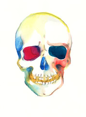 skull .watercolor illustration