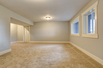 Empty room interior with blue tones walls and carpet floor.