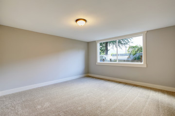 Empty room interior with blue tones walls and carpet floor.