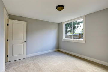 Obraz na płótnie Canvas Empty room interior with blue tones walls and carpet floor.