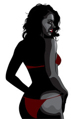 Woman bikini sexy pose vector image