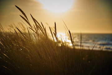 Dune de Cabourg