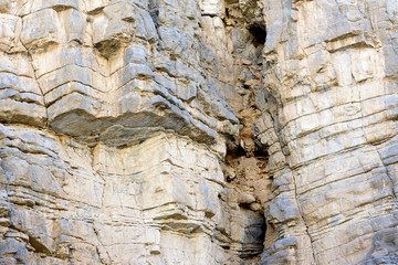 Pattern in Rocky Mountain