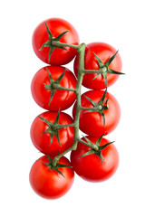 Fresh organic tomatoes isolated on white background