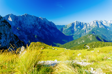 Fototapeta premium Beautiful alps landscape. Beautiful majestic mountain peaks.