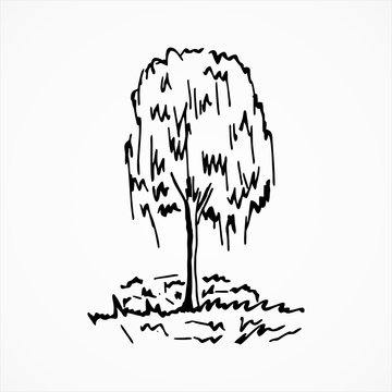  Black tree sketch . Vector illustration. Hand drawn.