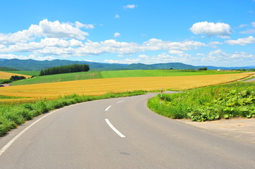 Fototapeta na wymiar Rural Road at Countryside of Hokkaido, Japan