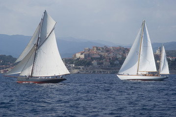 Fototapeta premium Regatta in the Gulf of Imperia, Italy