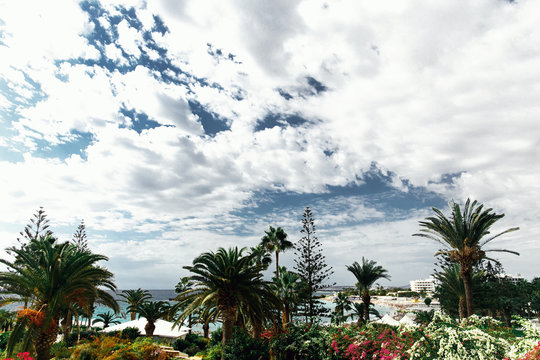 Beautiful tropical nature