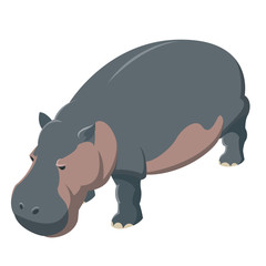 Hippo isometric icon