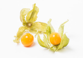 Physalis on a white background