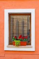 Window with flowers on red wall