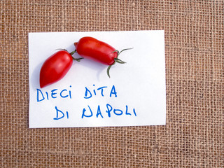 Italian tomatoes - Dieci Dita di Napoli (Translated: Ten fingers of Naples)