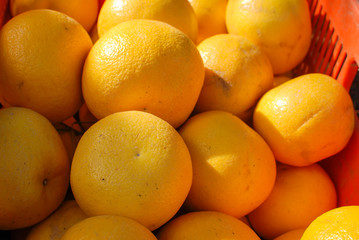 Citrus paradisi or pomelit for sale at the farmers market