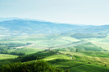 Fototapeta na wymiar tuscany sprig landscape, Italy