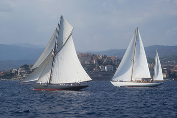Fototapeta premium Regatta in the Gulf of Imperia, Italy