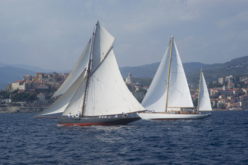 Fototapeta premium Regatta in the Gulf of Imperia, Italy