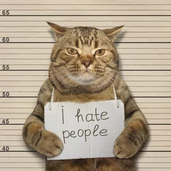 Foto op Canvas Een slechte kat heeft een hekel aan mensen. Het werd gearresteerd. © iridi66
