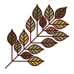 Fototapeta premium leaves plant icon. Garden floral and decoration theme. Isolated design. Vector illustration