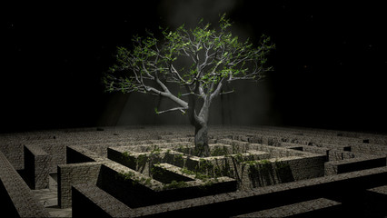 Tree in a labyrinth  