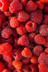 Close up of the ripe raspberry as background.