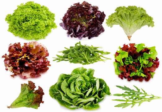 Fresh green and purple salad isolated on white background. Salad mix. Set of different foreshortening.