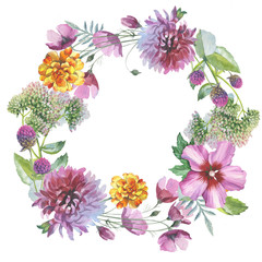 Wildflower chrysanthemum flower wreath in a watercolor style iso