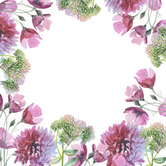 Wildflower chrysanthemum flower frame in a watercolor style isol