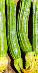 Quattro zucchine 