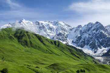 Mountain landscape with emerald slopes on the foreground and steep face of rocks,ice and snow on the background in gorgeous summer day