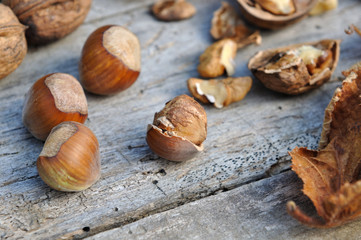 noisettes et noix décortiquées sur vielle planche